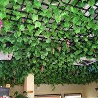 uploads/erp/collection/images/Home Garden/CongDing/XU0611982/img_b/XU0611982_img_b_5